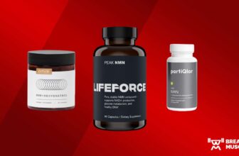 Finest NMN Complement of 2024, In response to a Diet Coach