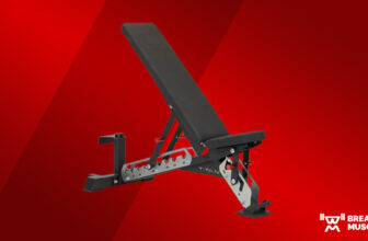 Titan Sequence Adjustable Bench Evaluate (2024)