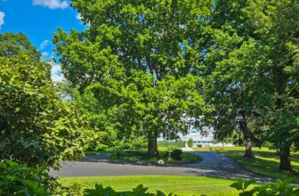 The Little Issues Publication #476 – Life, laughter, and plenty of nice meals!