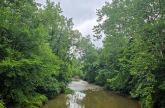 The Little Issues Publication #480 – Life, laughter, and plenty of nice meals!