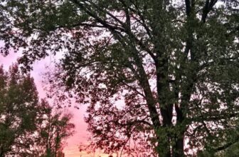 The Little Issues Publication #494 – Life, laughter, and plenty of nice meals!